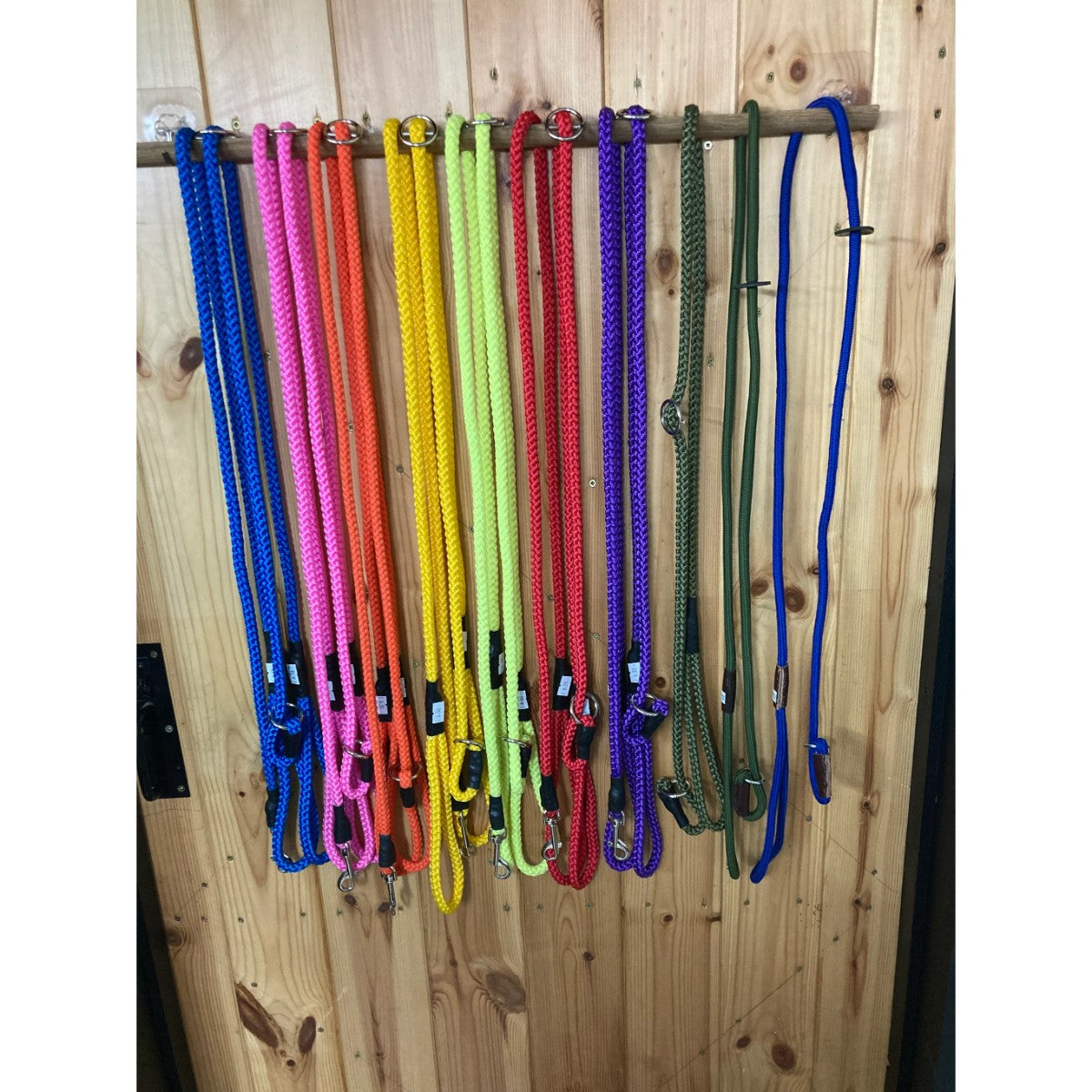 Dog Leads Nylon